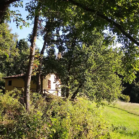 Agriturismo Fattoria La Prugnola-3